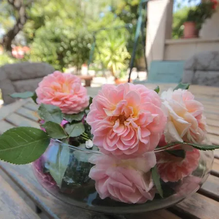 By The Sea Cavtat, Dubrovnik - 8827 Cavtat