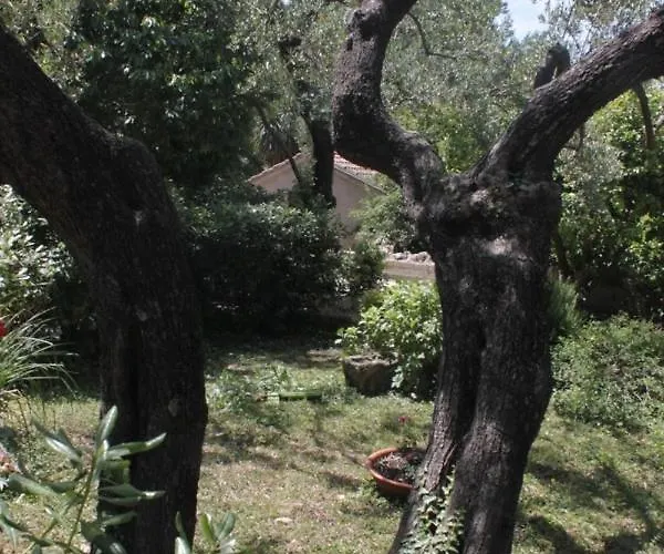 By The Sea Cavtat, Dubrovnik - 8827 Cavtat