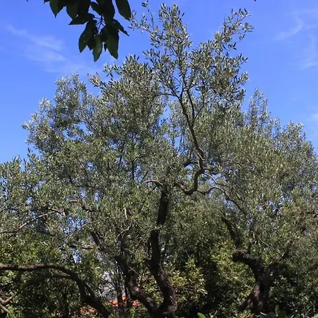 By The Sea Cavtat, Dubrovnik - 8827 アパート